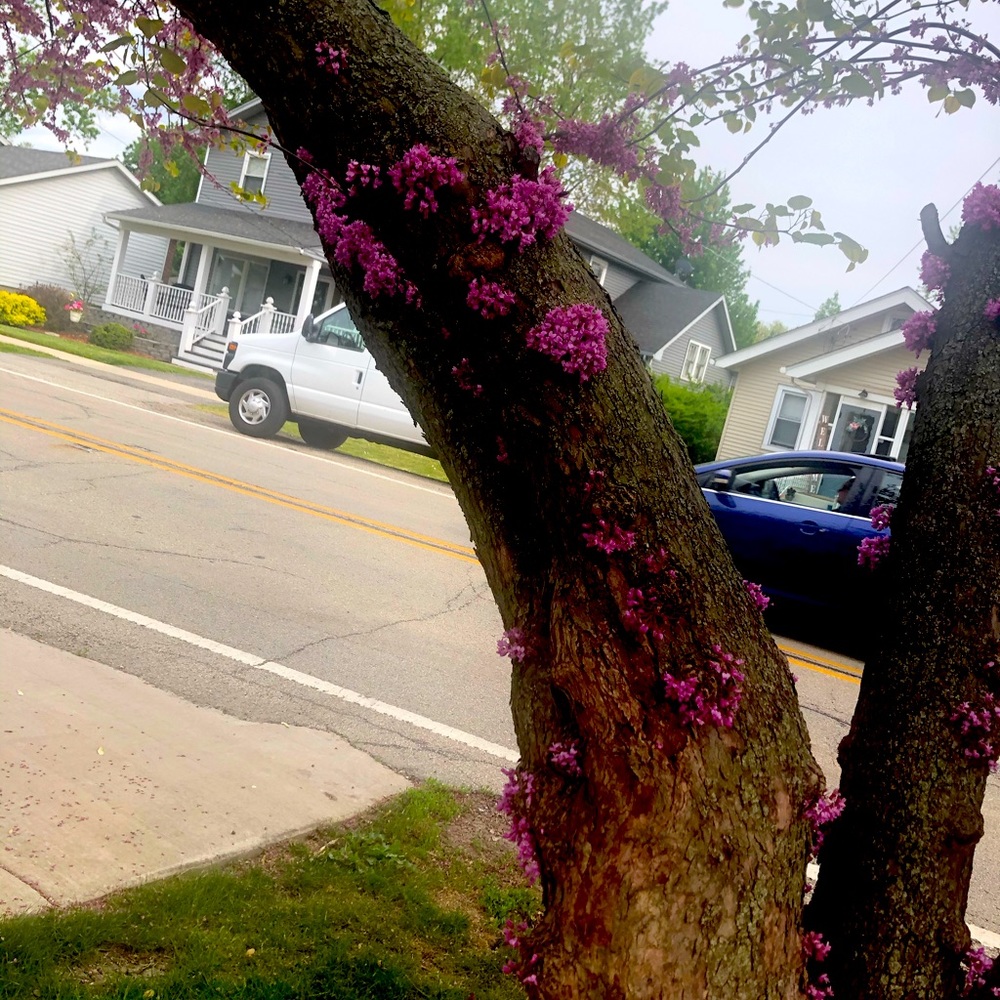 Meet your Posher, Martunia